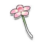 竹蜻蜓-玫瑰花